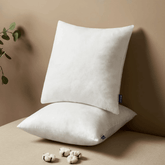 MIULEE 24x24 Pillow Inserts Set of 2, Square Decorative Throw Pillow Premium Fluffy Lumbar Pillow Forms Sham Stuffer for Living Room Sofa Couch Bed - Miulee